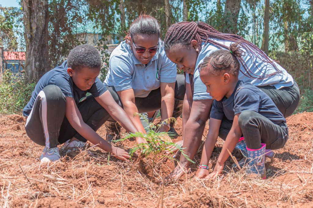 Involve the Children