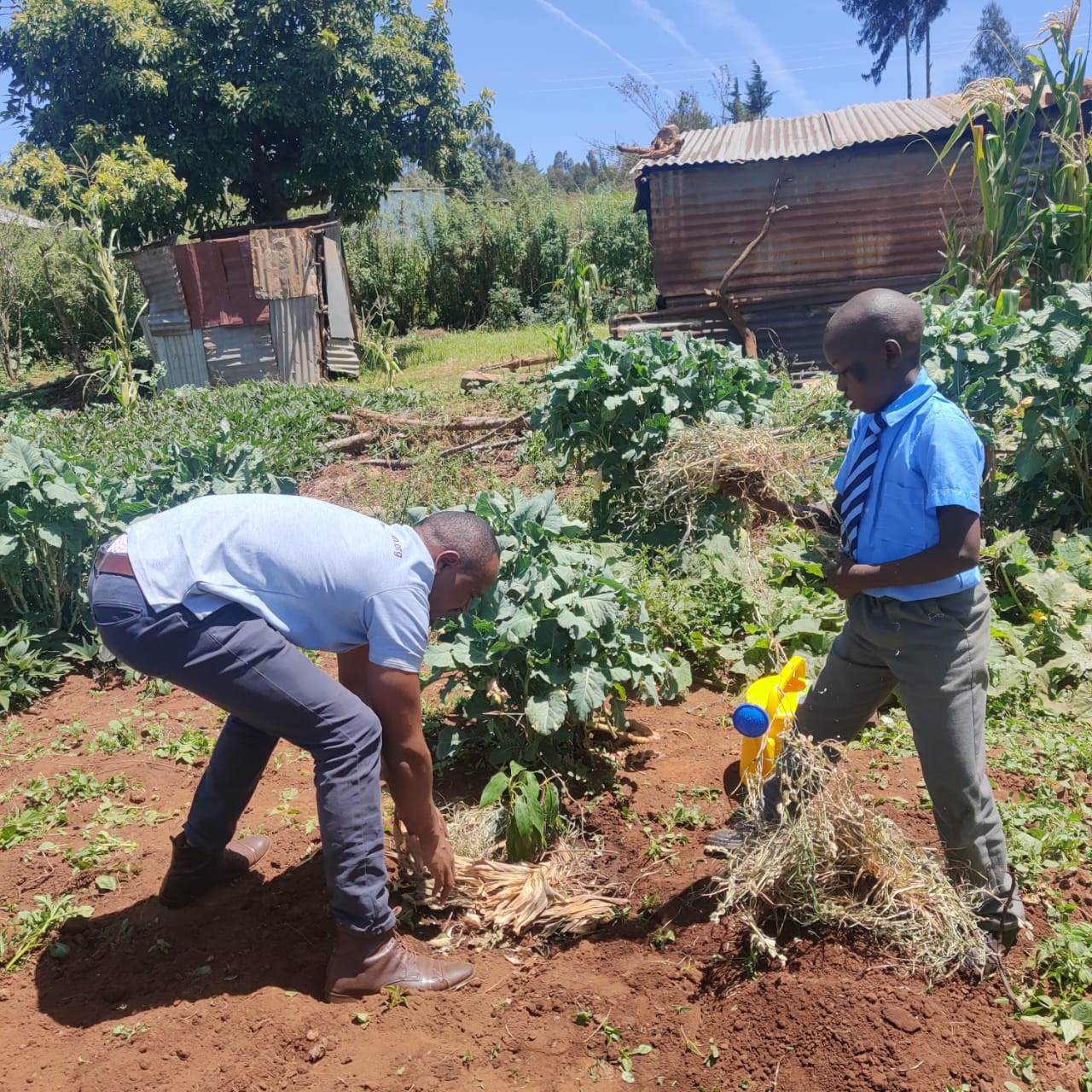 Climate Change's Unequal Toll: Addressing the Vulnerability of Children in Rural Africa