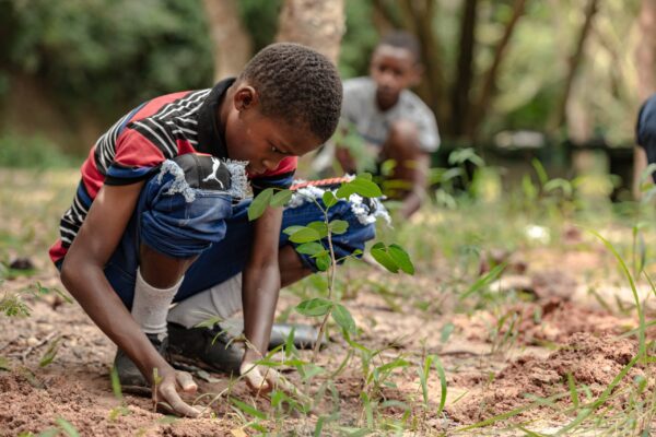 Student-planting-tree